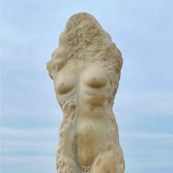 angelicabovis